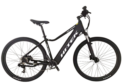 eTRON Ebike