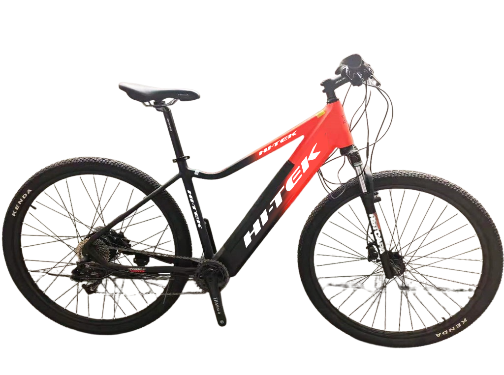 eTRON Ebike