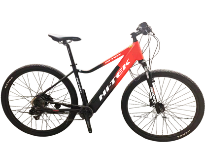 eTRON Ebike